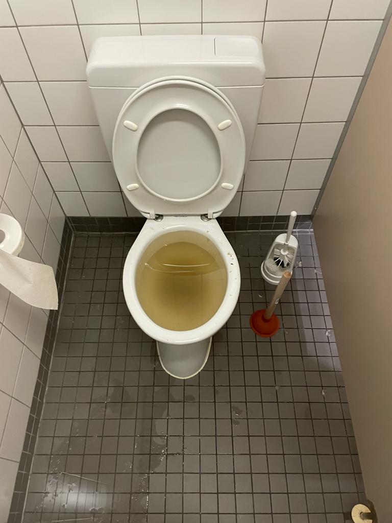 toilette-verstopft