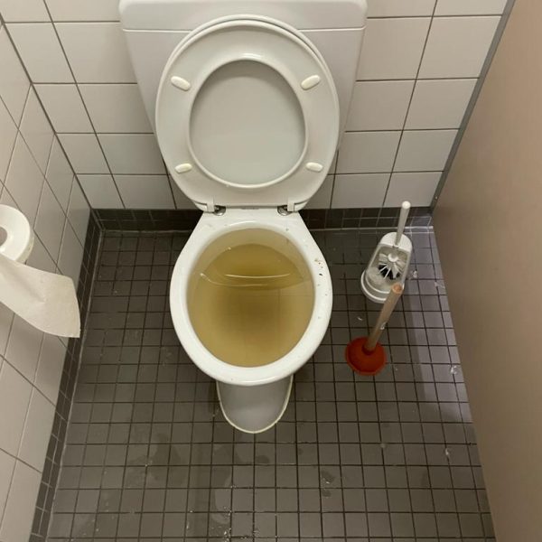 toilette-verstopft